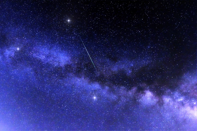 鶴 by 写真AC