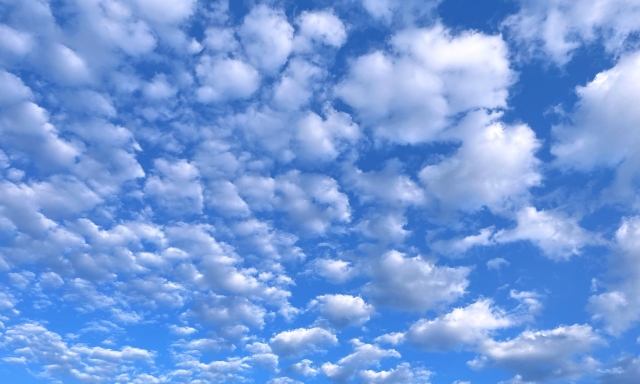 雲