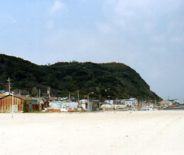 志賀島 撮影(2001.3.11) by きょう