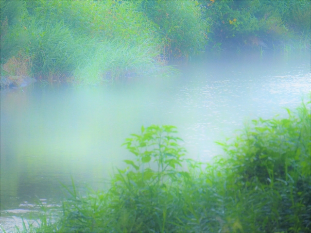 朝霧 by 写真AC