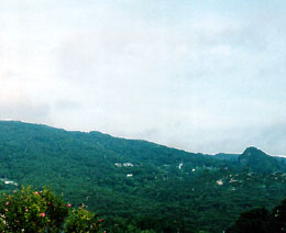 �B�e(1998) by ���傤