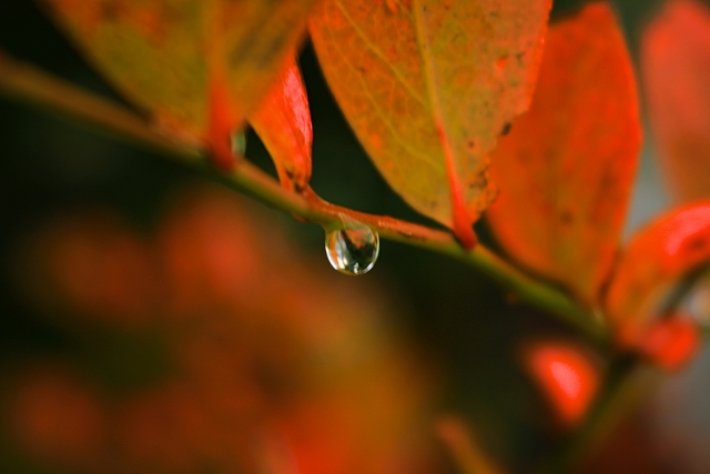  by 写真AC