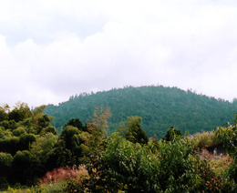 三輪山　撮影(2002.10.9) by きょう