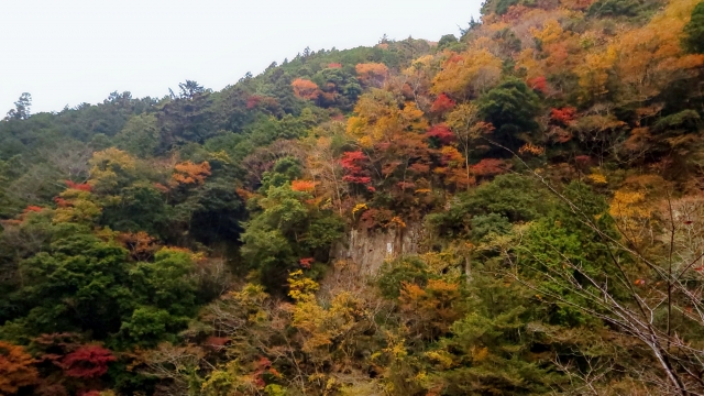 名張付近の山 by 写真AC