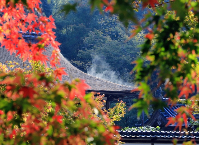 季節 by 写真AC