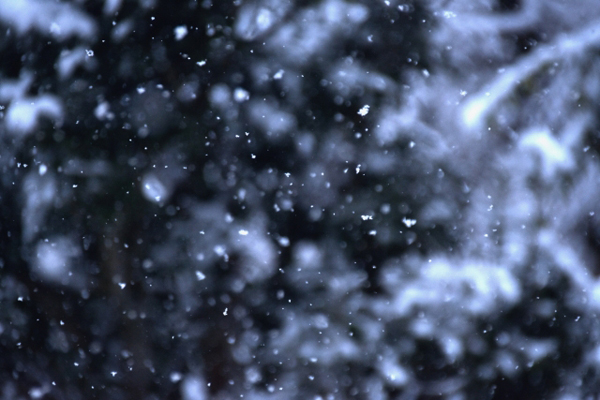 雪 by 写真AC