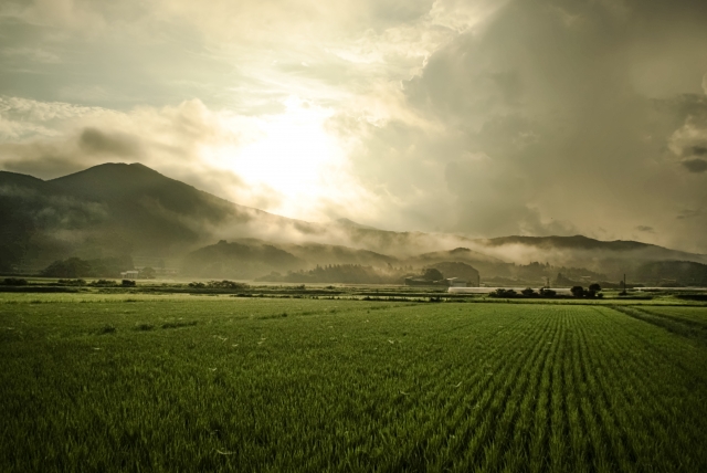 雨 by 写真AC