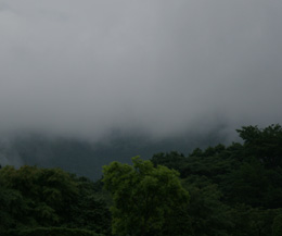 雨の山霧 撮影(2009.07) by きょう
