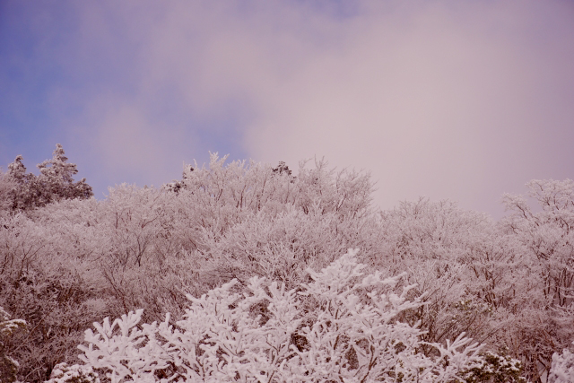 雪景色 by 写真AC