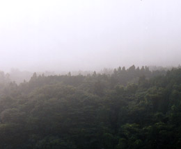 霧の足柄 撮影(2002.8) by きょう
