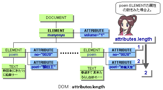 DOM: attributes.length