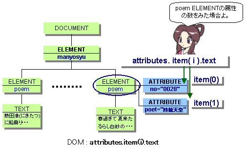 DOM: attributes.item(int index).text