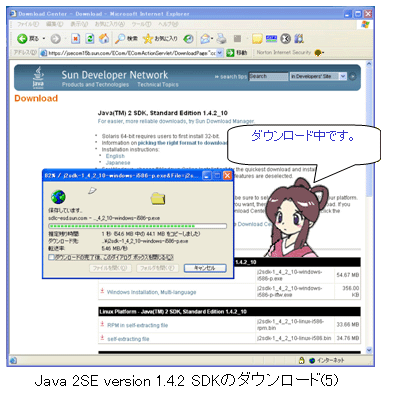 Java 2SE version 1.4.2 (5)