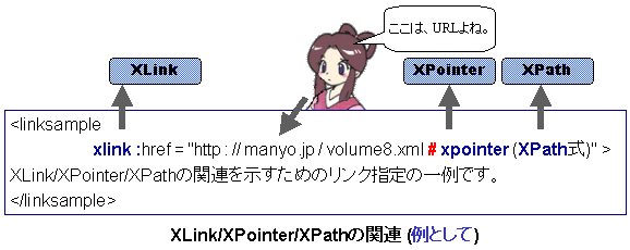 XLink/XPointer/XPath̊֘A
