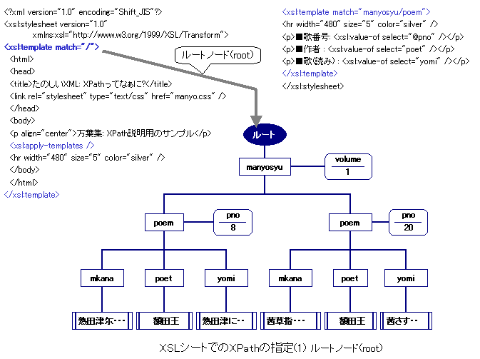 XSLV[głXPath̎w(1) [gm[h(root)
